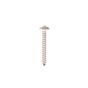 Stainless 1-1/4" x 8 Pyramid Head Wood Screw, Box 100
