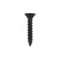 Black Stainless 1" x 10 Flat Head Wood Screws
