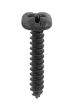 Black Stainless 1" x 8 Pyramid Head Wood Screw