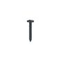 Black Stainless 1" x 8 Pyramid Head Wood Screw