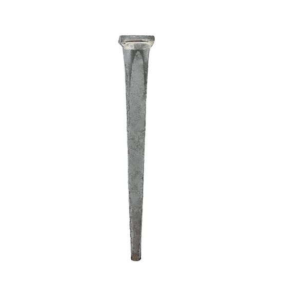 Common Nail