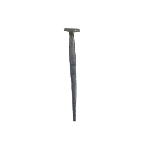 Shingle Nail